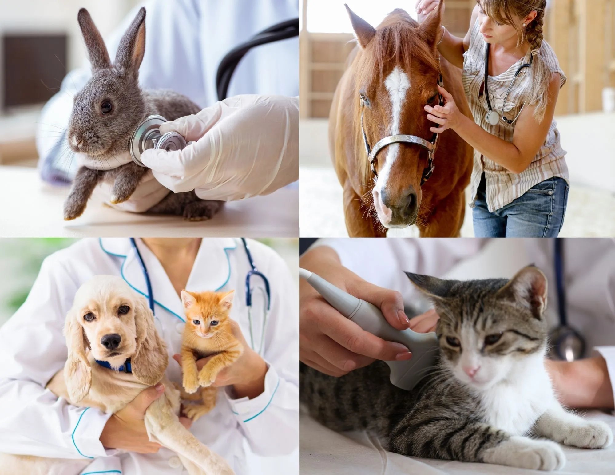 /src/images/Homepage mit CTA-Schaltfläche und Hintergrundbild (Fotobuch (11 × 8,5 Zoll)).jpg - Petra Keimel